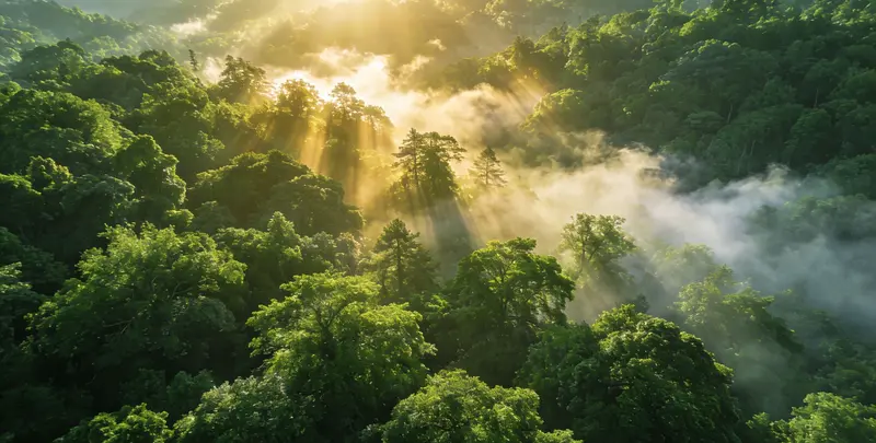 长春肺癌49基因检测图片1